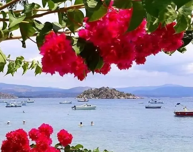 Anna's Διαμέρισμα Τολό